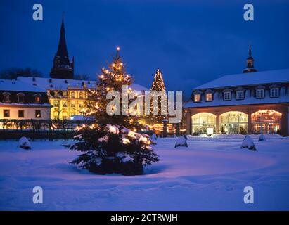 Erbach: Weihnachtsbaum im verschneiten Lustgarten, vor Schloss und Orangerie, Odenwald, Hessen, Deutschland Stockfoto