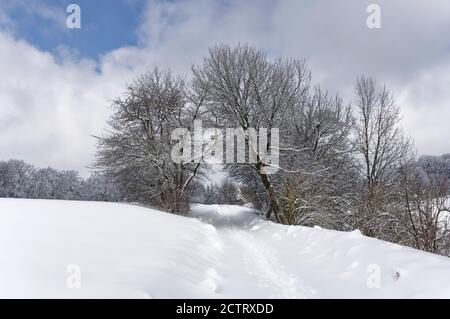 Snowy path near Onstmettingen on the Swabian Alps, Zollernalb District, Baden-Wuerttemberg, Germany Stock Photo