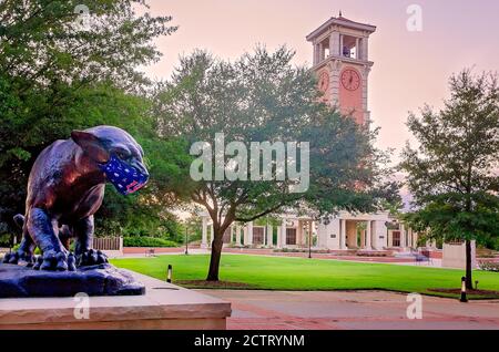 Das Maskottchen der University of South Alabama, der jaguar, trägt eine Maske, um COVID-19, 22. August 2020, in Mobile, Alabama zu verhindern. Hinter ihm ist Moulton Tower. Stockfoto