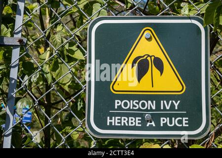 Ein zweisprachiges Schild an einem Kettengliederzaun in einem öffentlichen Park in Ottawa, Kanada, warnt vor dem Vorhandensein von Giftefeu in englischer und französischer Sprache. Stockfoto