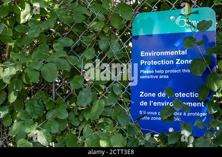 Ein Schild der Stadt Ottawa auf einem Kettengliederzaun informiert die Besucher des Carlington Park darüber, dass das Gebiet eine Umweltschutzzone ist. Stockfoto