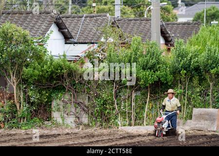 Ein älterer Japaner pflügt ein Feld auf einer kleinen Farm in der Nähe von Yamato, Kanagawa, Japan. Stockfoto