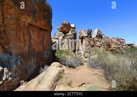 Kagga Kamma Privatreservat im Westkap in Süd-Afirca. Stockfoto