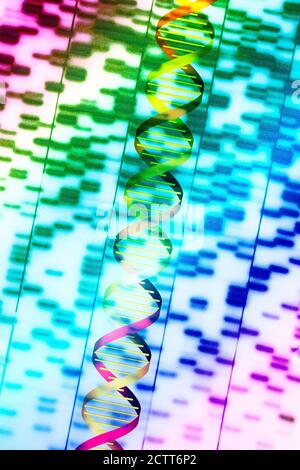 DNA-Helix und mehrfarbiges Sequenzdiagramm Stockfoto