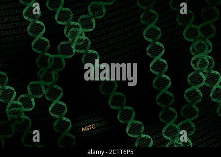 DNA-Helix auf schwarzem Hintergrund Stockfoto