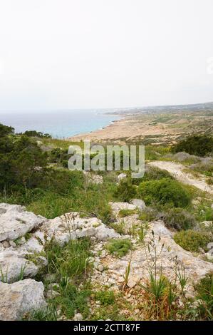 Blick auf grüne Vegetation und Felsen an der Küste Ein bewölktes Tag in Zypern Cape Stockfoto