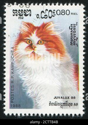 KAMBODSCHA - UM 1988: Briefmarke gedruckt von Kambodscha, zeigt Katze, um 1988. Stockfoto