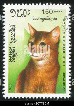 KAMBODSCHA - UM 1988: Briefmarke gedruckt von Kambodscha, zeigt Katze, um 1988. Stockfoto