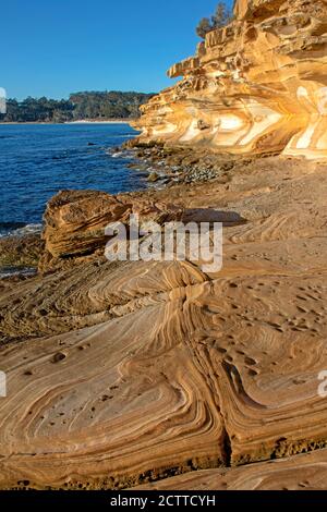 Die lackierten Klippen auf Maria Island Stockfoto