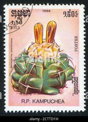 KAMBODSCHA - UM 1986: Stempel gedruckt von Kambodscha, zeigt Kaktus, um 1986. Stockfoto
