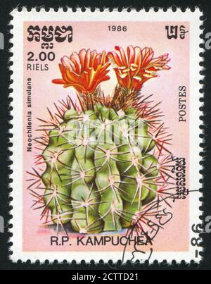 KAMBODSCHA - UM 1986: Stempel gedruckt von Kambodscha, zeigt Kaktus, um 1986. Stockfoto