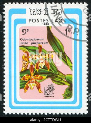 LAOS - UM 1985: Briefmarke gedruckt von Laos, zeigt Orchid, um 1985. Stockfoto