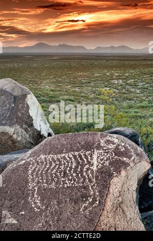 Bighorn Schafe in Jornada Mogollon Stil Felskunst an Three Rivers Petroglyph Site, Tularosa Basin, San Andres Mountains, Sonnenuntergang, New Mexico, USA Stockfoto