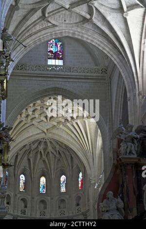 Segovia, España, Hiszpania, Spain, Spanien; Catedral de Nuestra Señora de la Asunción y de San Frutos - Kathedrale von Segovia im Inneren Stockfoto