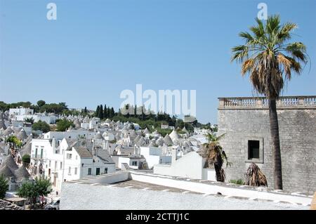 Panoramablick auf Alberobello unesco-Website in Apulien mit einem Palme im Vordergrund und Trulli Häuser im Hintergrund Stockfoto