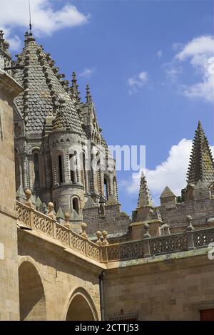 Salamanca, España, Hiszpania, Spanien, Catedral de Santa María; Catedral Vieja; Alte Kathedrale; Alte Kathedrale; Stara katedra Stockfoto