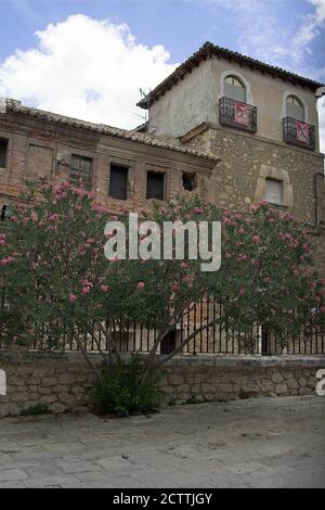 Pastrana, España, Hiszpania, Spanien, Spanien; Oleander wächst am Zaun vor dem Hintergrund eines baufälligen Mietshauses. Oleander am Zaun. Stockfoto