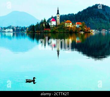 Schöner Bleder See in Slowenien. Idyllische Naturlandschaft. Tolle Insel am Seeufer. Die Julischen Alpen. Ente schwimmt. Szenische Reflexion im Wasser.Herbst Stockfoto