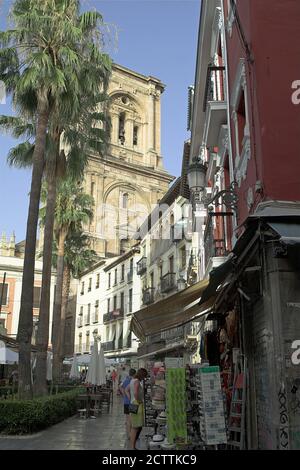 Granada, España, Hiszpania, Spanien, EIN Platz mit Palmen im Stadtzentrum. Ein Platz mit Palmen im Stadtzentrum. Skwer z palmami Stockfoto