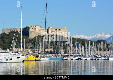 Frankreich, französische riviera, Antibes, der Hafen Vauban wird von der Fort Carré übersehen, diese Marina hat 1642 Plätze, von denen 19 für die größten Einheiten. Stockfoto