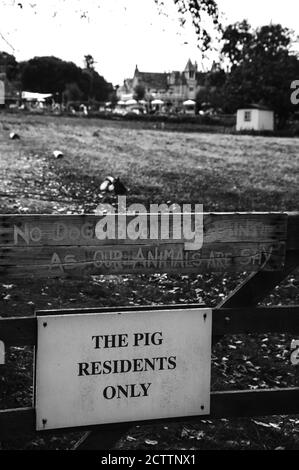 Zwei Nachrichten auf dem Zaun von Schwein am Strand Hotel 'The Pig Residents Only' und 'No Dogs Beyond This Zeigen, Wie Unsere Tiere Schüchtern Sind' Stockfoto