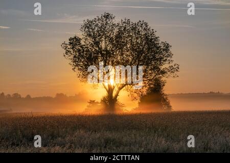 Sonnenaufgang im Moor Haarmoos, einem Naturschutzgebiet in Oberbayern, Stockfoto