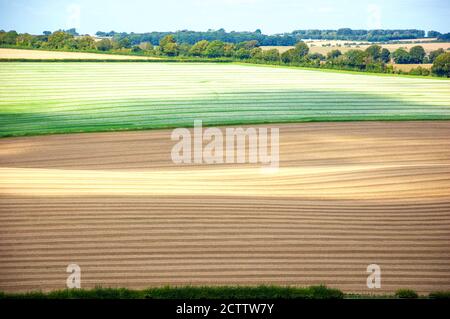 Ländliche Landschaft Englands. Wiltshire. Ackerland. Zeilen. Ein Spiel von Licht und Schatten. Stockfoto