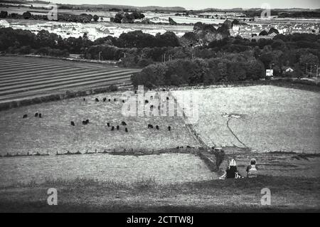 Zwei Frauen mittleren Alters mit niedlichen Hund bewundern ländliche englische Landschaft mit grasenden Kühen und Dorfgebäude im Hintergrund. Rückansicht. Wiltshire. Stockfoto