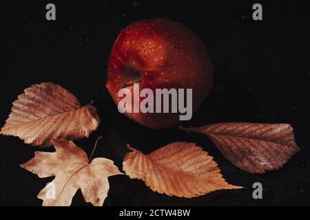 apfel auf schwarzem nassen Hintergrund mit getrockneten Herbstblättern Stockfoto