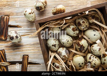 Wachteleier. Flache Lay-Komposition mit kleinen Wachteleiern auf dem natürlichen Holzhintergrund. Ein zerbrochenes Ei mit einem hellen Eigelb. Wachteln Eierfarm Stockfoto