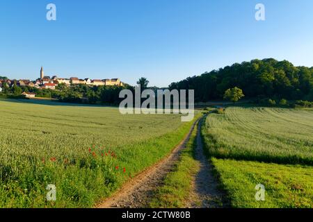 Kirchberg an der Jagst: Blick auf die Altstadt, vom Tal aus gesehen, Hohenlohe, Schwäbisch Hall, Baden-Württemberg, Deutschland Stockfoto