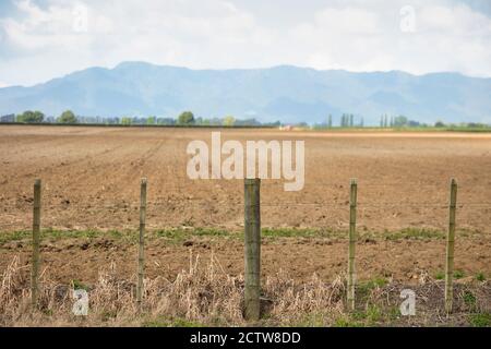 Neuseeländische Landwirtschaft auf dem Land der Nordinsel. Stockfoto