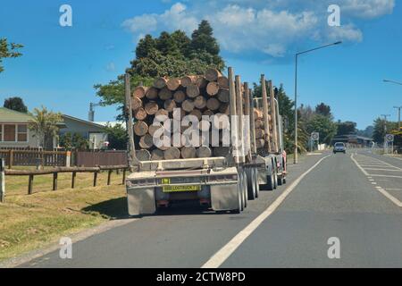 Ladung von geernteten Kiefernstämmen auf den LKWs zu Holzmühlen transportiert. Neuseeländische Forstwirtschaft. Stockfoto