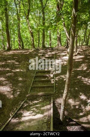 Holzstreppe aus Boarding, Wormley Wood, East Herts Stockfoto