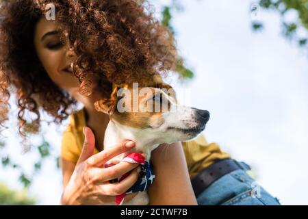 Low-Winkel-Ansicht der jungen lockigen Frau mit Jack russell terrier Hund gegen blauen Himmel Stockfoto
