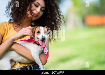 Selektiver Fokus der freudigen, lockigen Frau halten und streicheln Jack russell Terrier Hund Stockfoto