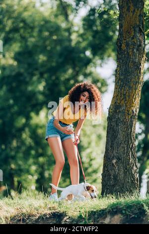 Lockige Frau im Sommer Outfit Aufnahme Foto von Jack russell terrier Hund beim Wandern im Park Stockfoto