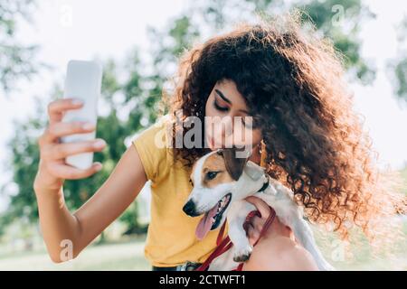 Brünette, lockig Frau umarmt Jack russell Terrier Hund während der Aufnahme Selfie auf Handy im Park Stockfoto