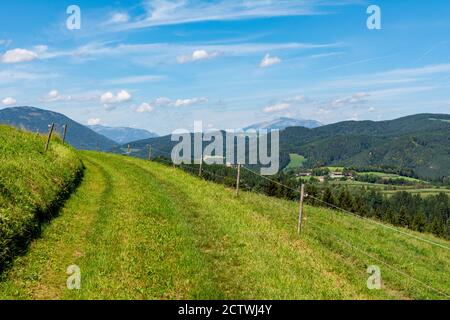 Schöner Blick auf idyllische alpine Berglandschaft mit Wiesen, Bäumen und Berggipfeln an einem schönen sonnigen Tag mit blauem Himmel im Sommer Stockfoto