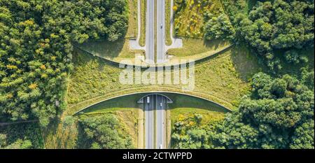 Luftaufnahme von oben nach unten von der Ökoleitung oder Wildtierüberquerung - Vegetation überdachte Brücke über eine Autobahn, die Wildtiere zu ermöglichen Sicher überqueren Stockfoto