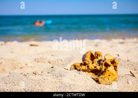 Hohle Felsen ist auf dem Sandstrand mit Meer in der Ferne platziert. Stockfoto