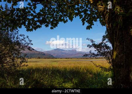 Der atemberaubende Blick auf den Snowdonia National Park vom Traeth Glaslyn Nature Reserve in North Wales, Großbritannien. Stockfoto