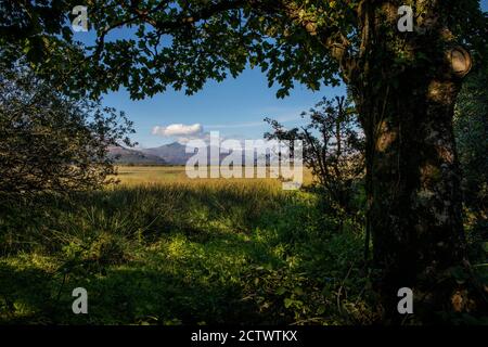 Der atemberaubende Blick auf den Snowdonia National Park vom Traeth Glaslyn Nature Reserve in North Wales, Großbritannien. Stockfoto