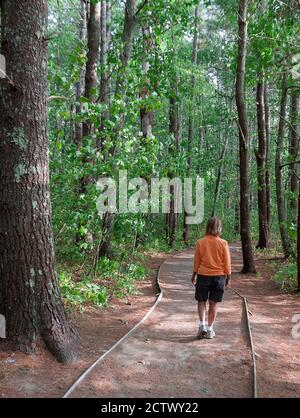 Frau zu Fuß auf dem Naturpfad im Rachel Carson National Wildlife Refuge in Wells, Maine. Stockfoto