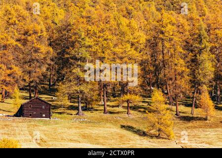 Livigno - Valtellina (IT) - Typische Berghütte im Herbst Stockfoto