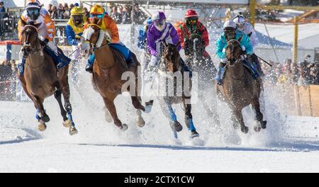 Engadina (CH) - Pferderennen auf dem Schnee White Turf Stockfoto