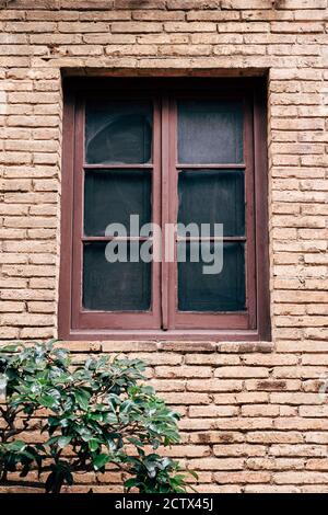 Nahaufnahme eines Fensters mit einem braunen Fensterrahmen an einer Ziegelwand durch einen grünen Busch. Stockfoto