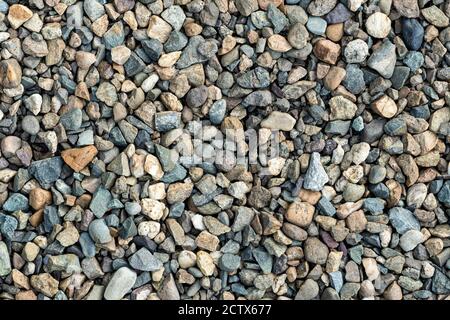 Kiesstruktur auf dem Hintergrund. Bunte kleine Kieselsteine. Kleine Steine, kleine Felsen, Kieselsteine in vielen Grautönen, weiß, braun, gelb Stockfoto