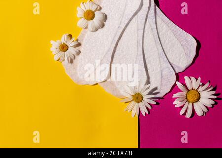 Frau hygienischen Schutz der Sanitäranlage auf hellem Hintergrund, Frau Menstruationszyklus, kritische Tag.Täglich, einmal weiße feminine Pad. Gesundheit der Frau Stockfoto