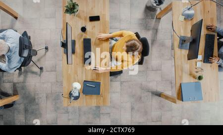 Top View Aufnahme im Büro: Diverse Gruppe von Business-Startup-Mitarbeitern, die an ihren Schreibtischen sitzen und an Desktop-Computern arbeiten. Stilvoll und modern Stockfoto